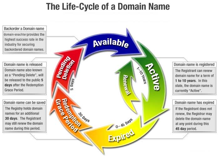 Dropped domains - Life cycle
